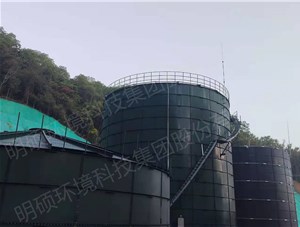 廣東金寶5000方禽畜糞便處理項(xiàng)目安裝中