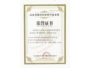 熱烈祝賀明碩環(huán)境集團獲得2021年度山東省循環(huán)經(jīng)濟科學(xué)技術(shù)獎二等獎
